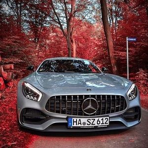 Meet your Posher, Liam